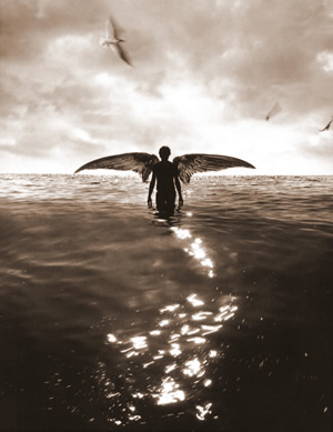 A winged creature in the shape of a human is emerging from a shimmering body of water. There are birds circling in the air above the emerging human.